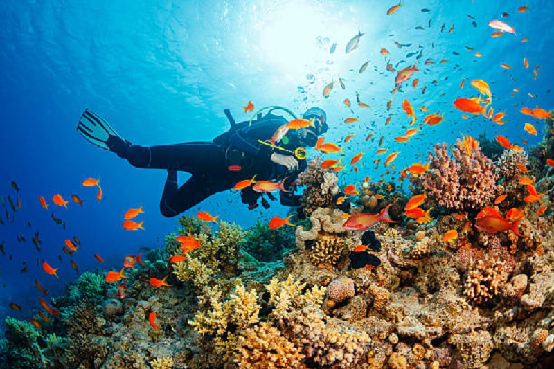 The Best Diving and Snorkeling Hotspots in Indonesia, Beautiful and Amazing 